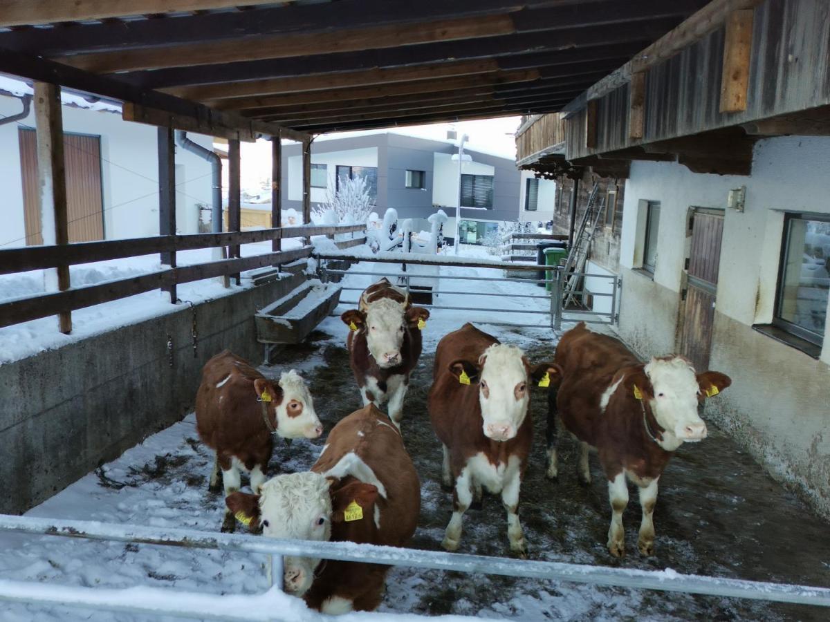 Ferienhaus Weberhof Reith im Alpbachtal Buitenkant foto